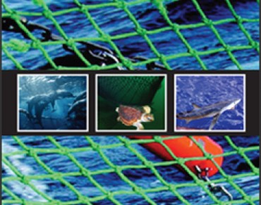 NOAA releases first national bycatch report