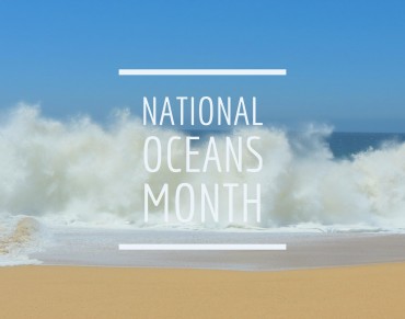 National Oceans Month 2016