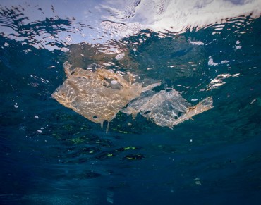 Biodegradable Plastics are Not the Answer to Reducing Marine Litter, Says UN
