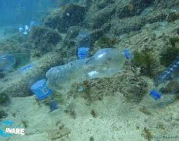 Global Plastic Production Rises, Recycling Lags