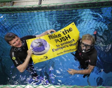 UK Minister Dives into Shark Conservation 