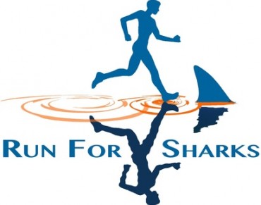 Racing to Protect Sharks at the 2013 NYC Marathon