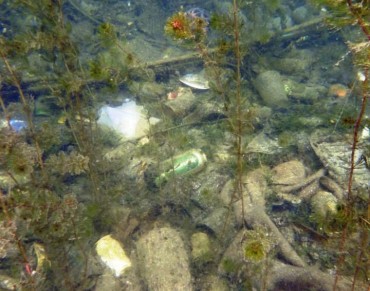 Scientists Uncover Hidden River of Rubbish Threatening to Devastate Wildlife