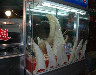 Cathay Pacific Bans Shark Fin from Cargo Flights