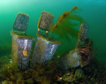 And the Weirdest Marine Debris Photo Is...