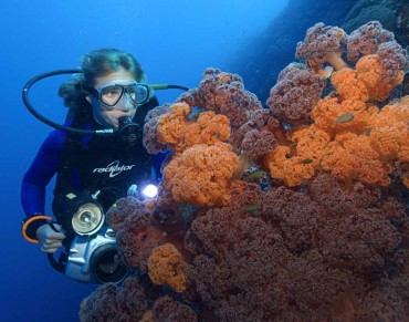 Heat-resistant Corals Provide Clues to Climate Change Survival