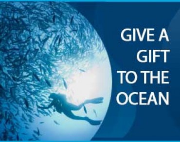 Give a Gift to the Ocean this #Giving Tuesday