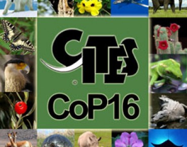 New List of Proposals for the CITES Wildlife Conference Online Today