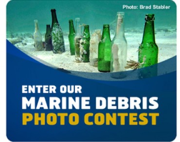 Show Us Your Weirdest Marine Debris Photos