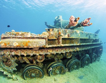 Featured Destination: Jordan and the Red Sea