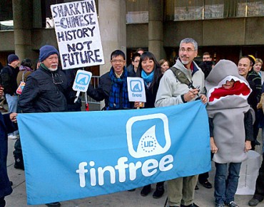 Toronto Bans Shark Fin