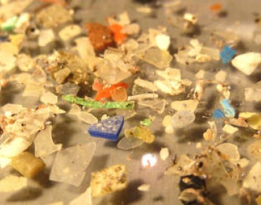 Plastic Particles in the Ocean May Be as Harmful as Plastic Bags, Report Says