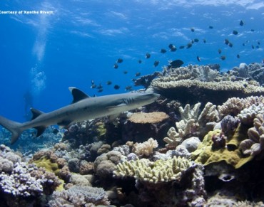 Australia’s Marine Park - The Final Push