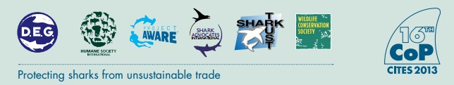 CITES 4 Sharks Coalition Banner