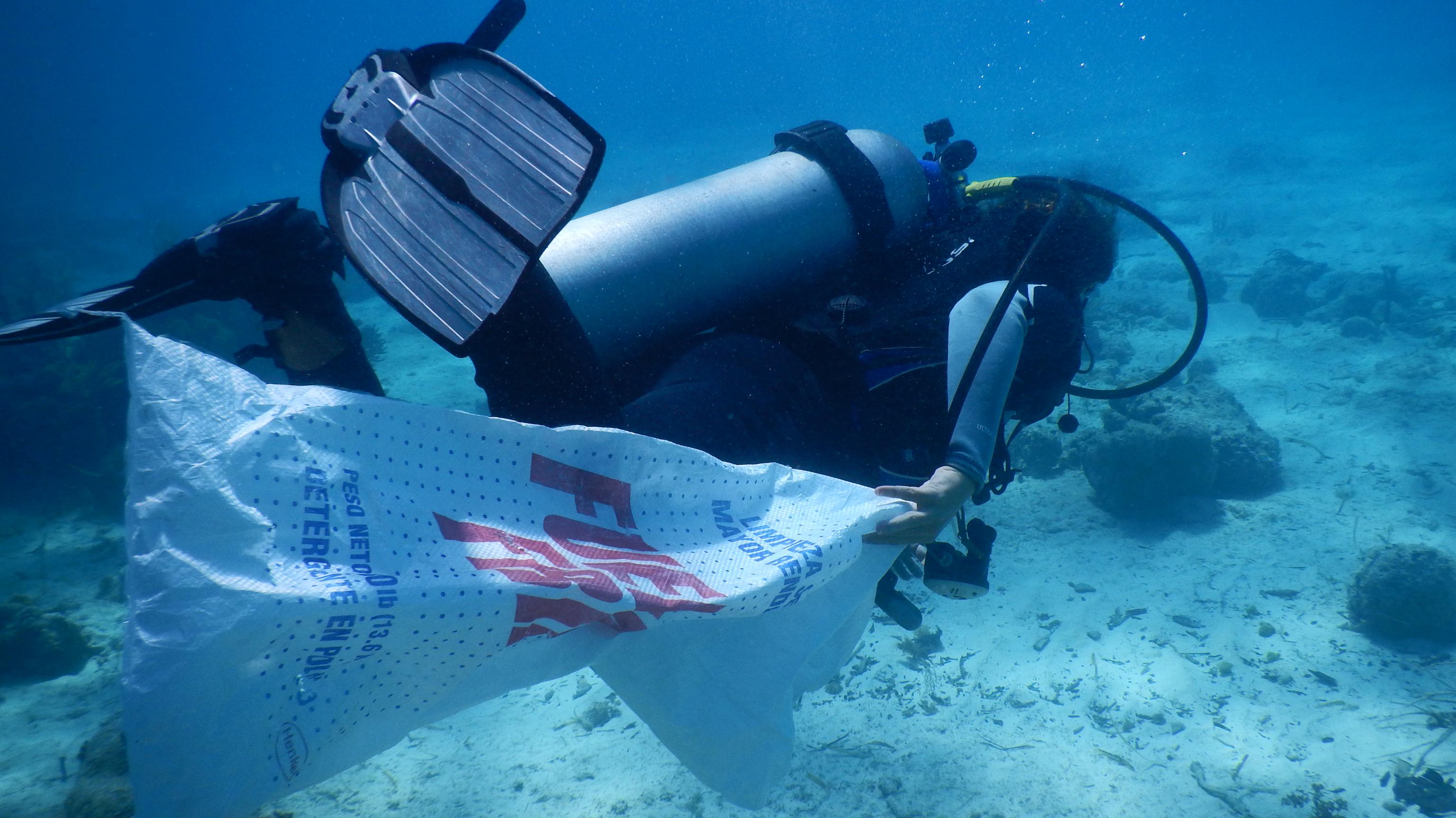 Cleaning In Coral Reefs Of Catalina Island, Dominican Republic | PADI AWARE