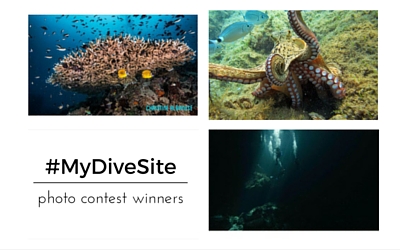 My Dive Site Contest Winners