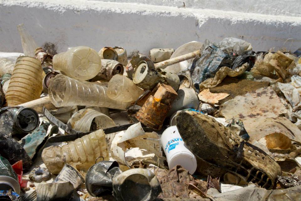 image of marine debris