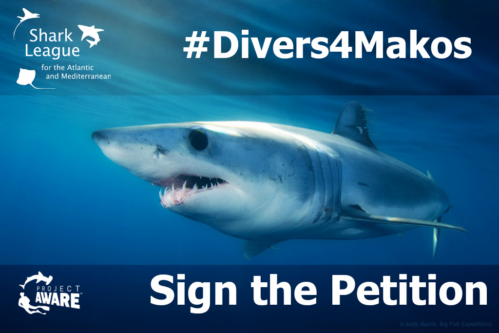 image of #Divers4Makos 2018 petition