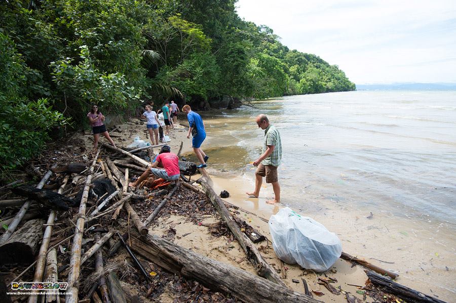 Marine Biology Students Does Beach Clean Up with Downbelow Team