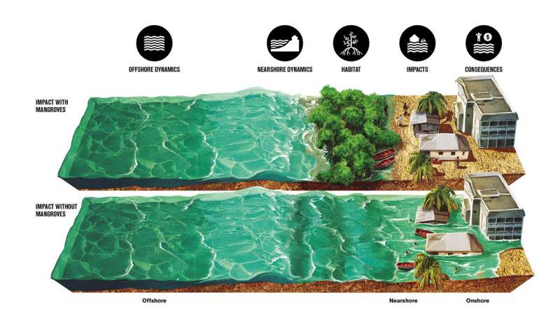 This illustration shows the impact of storm surge on coastal infrastructure and people with and without mangrove forests. Credit: © World Bank and Punto Aparte