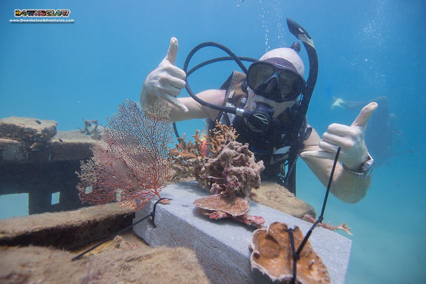 Downbelow Marine Conservation Program with Rip Curl Malaysia