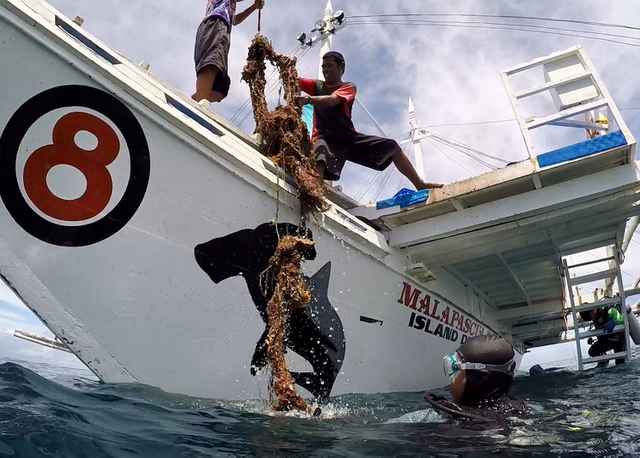 Boat crew lifting up fishing net on the surface