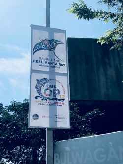 image of CMS CoP12 Banner