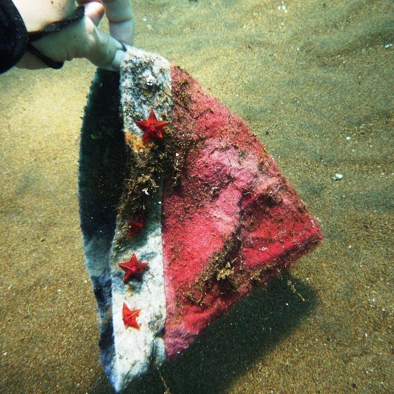 Image of Christmas Hat underwater - marine debris