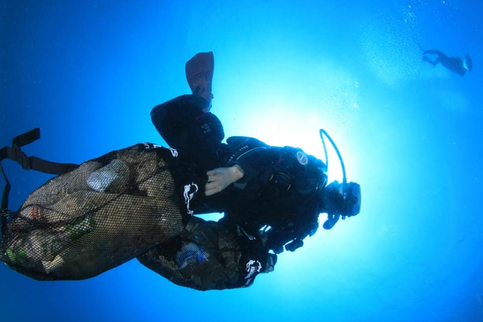 Image of diver conducting a Dive Against Debris Survey