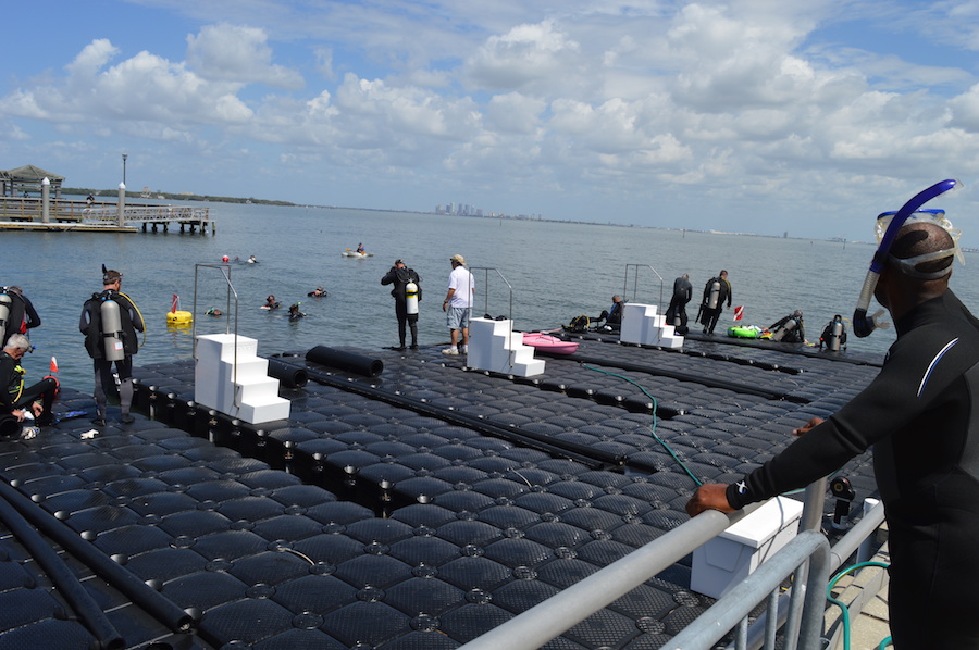 Military and civilian recreational dive teams enter the water at MacDill AFB with the Tampa skyline on the horizon