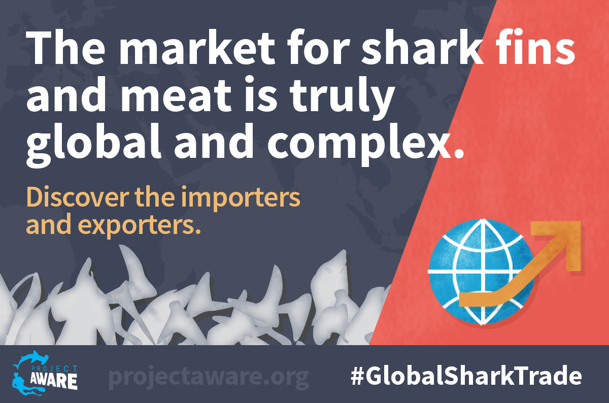 New Infographic Busts Myths about Global Shark Trade