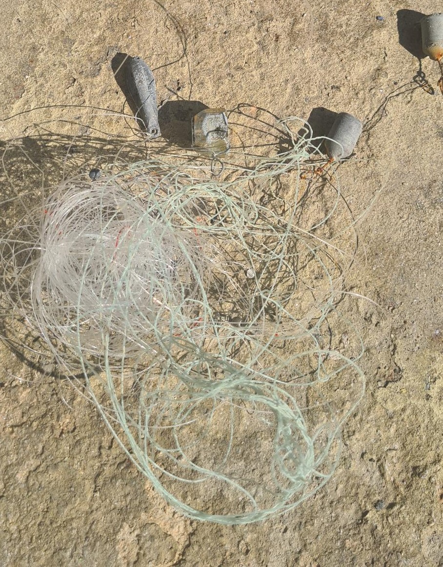 Fishing wire found on a dive