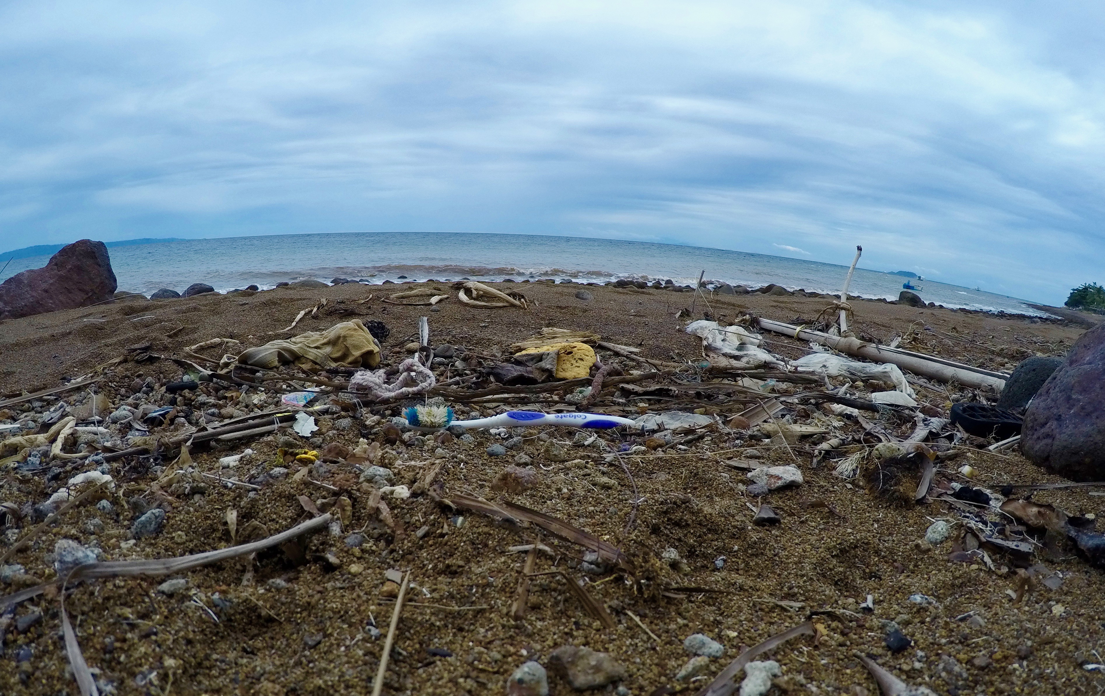 The Beach at Liquids home reef