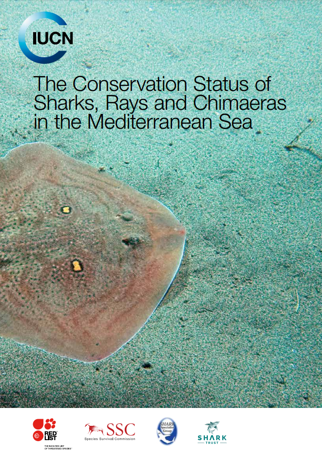 Image of IUCN Shark and Ray Mediterranean Sea Report