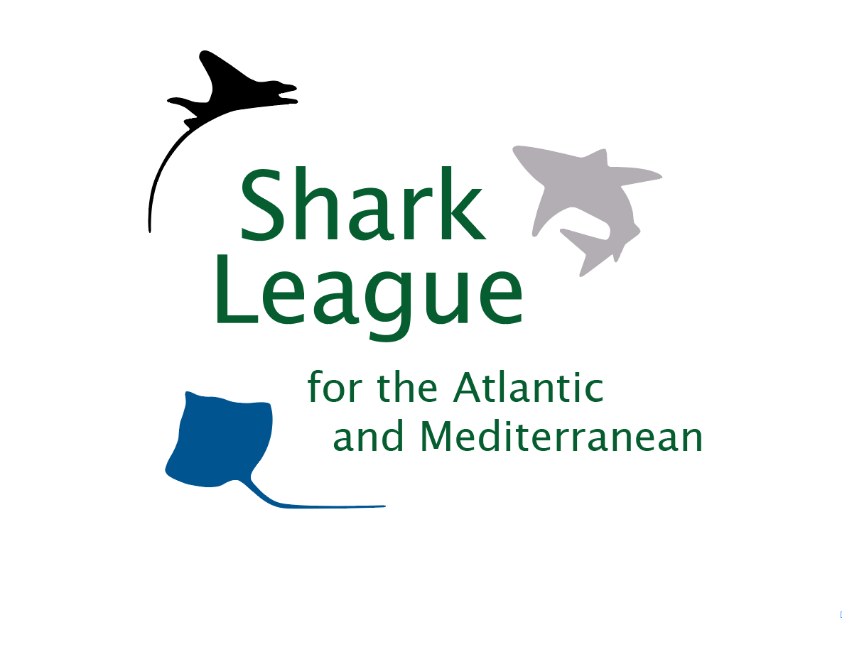 Shark League logo