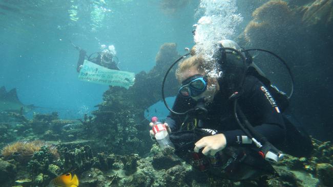 Environmental Divers, removing marine debris, Project AWARE