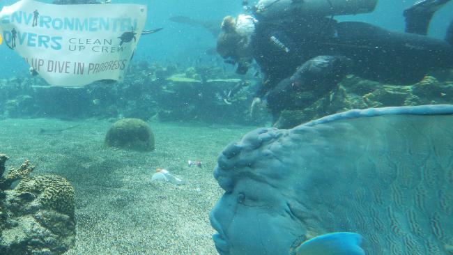 Environmental Divers, removing marine debris, Project AWARE