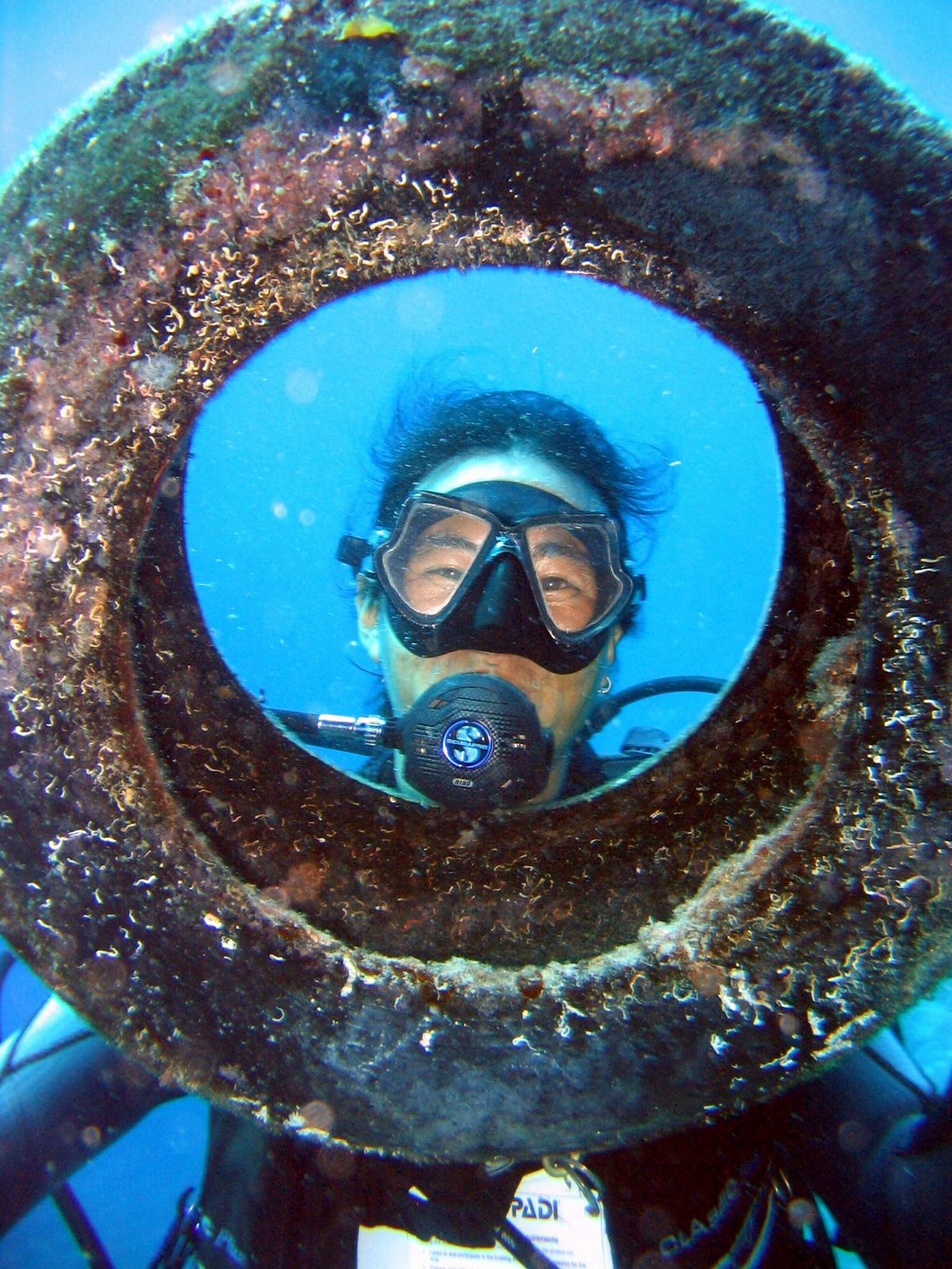 The Dive Bus Curacao Project AWARE