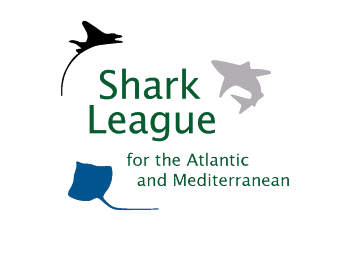 image of Shark League Logo