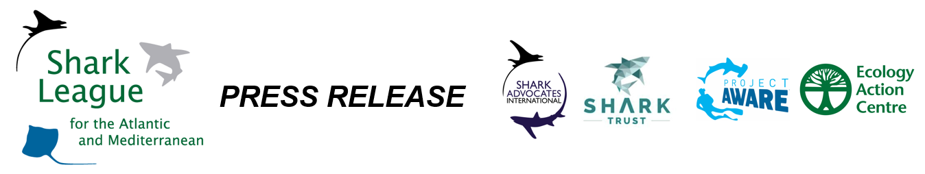 image of Shark League Logos