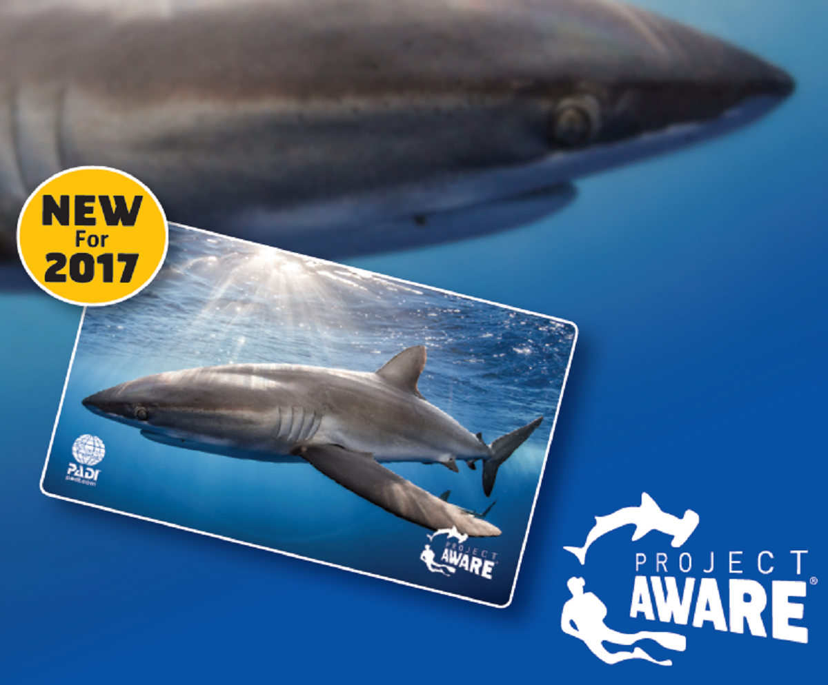 Image of PADI Silky Shark card