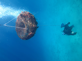 Removing Lobster Traps - Project AWARE