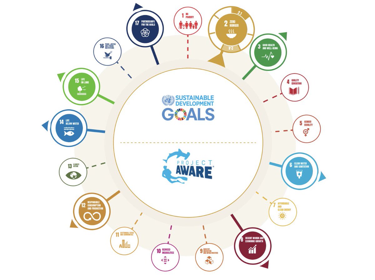 image of sdgs wheel project aware infographic