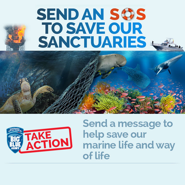 Save our Sanctuaries: Send a Submission