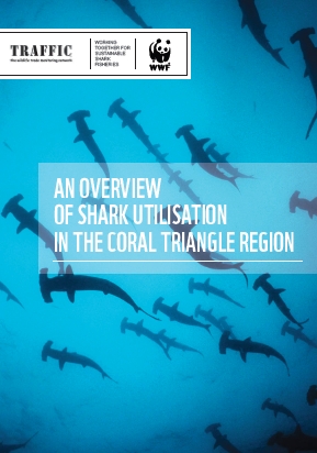 An Overview of Shark Utilisation in the Coral Triangle Region