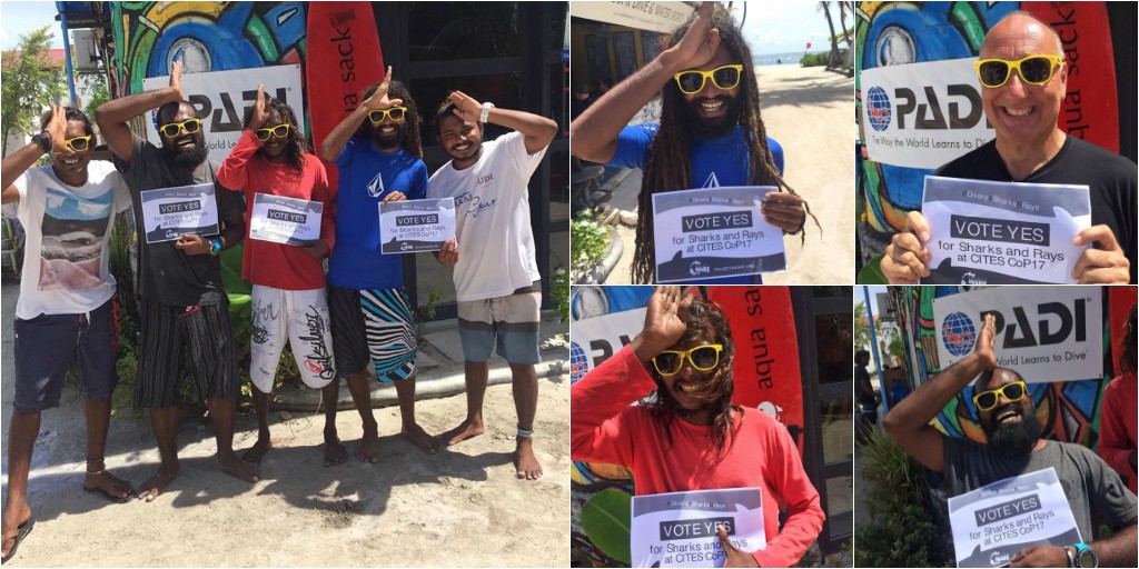 Image of #Divers4SharksNRays photo collage from the Maldives