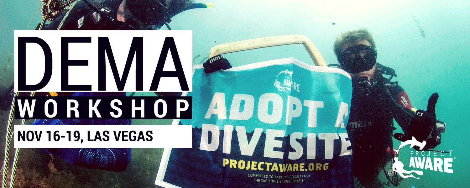 Project AWARE Adopt A Dive Site Workshop at DEMA 2016