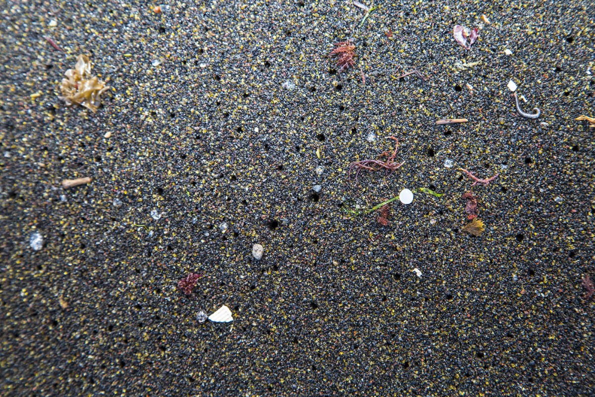 Microplastics