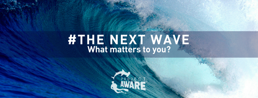 Project AWARE: The Next Wave - What matters to you?