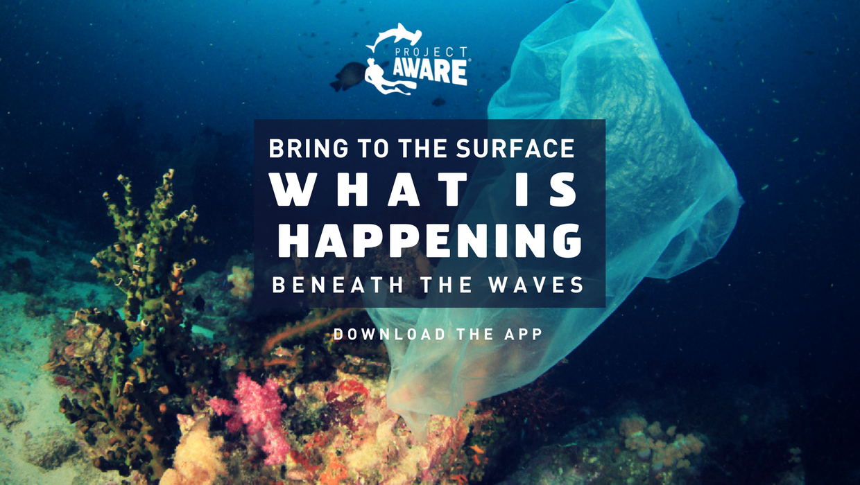 New Project AWARE Dive Against Debris Mobile App